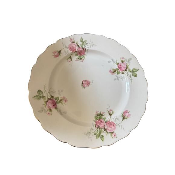 VTG Canonsburg Pottery Keystone Gold Trim Plates (4) Moss Rose USA Made Set READ - Picture 3 of 9